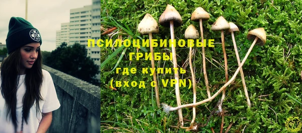 PSILOCYBIN Беломорск